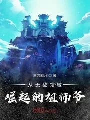 《从无敌领域崛起的祖师爷》小说封面