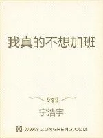 《我真的不想加班》小说封面