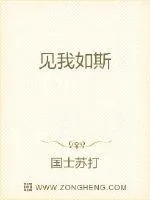 《见我如斯》小说封面