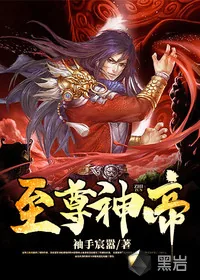 《至尊神帝》小说封面