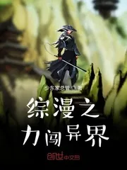 《综漫之力闯异界》小说封面