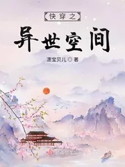 《快穿之异世空间》小说封面