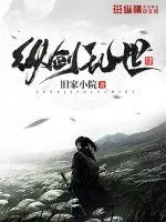 《纵剑乱世》小说封面
