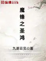 《魔锋之圣鸿》小说封面