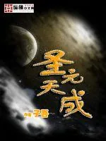 《圣元天成》小说封面