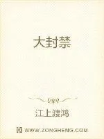 《大封禁》小说封面