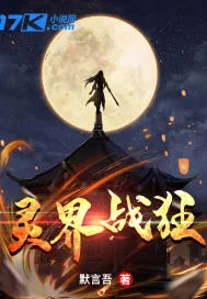 《灵界战狂》小说封面