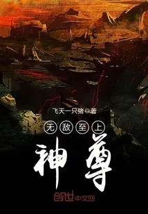 《无敌至上神尊》小说封面
