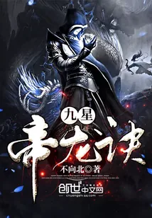 《九星帝龙诀》小说封面