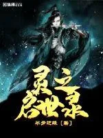 《灵之启世录》小说封面