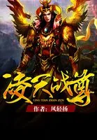 《凌天战尊》小说封面