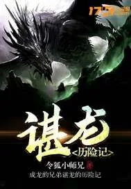 《谌龙历险记》小说封面