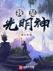 《我是光明神》小说封面
