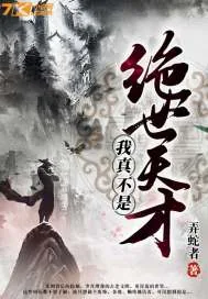 《我真不是绝世天才》小说封面