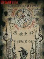 《亵渎之环》小说封面