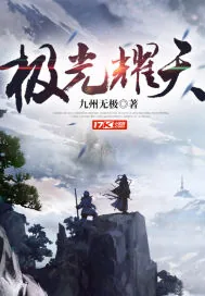 《极光耀天》小说封面