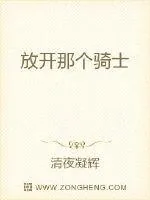 《放开那个骑士》小说封面