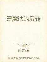 《黑魔法的反转》小说封面