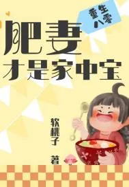 《重生八零：肥妻才是家中宝》小说封面