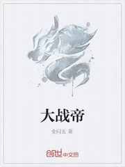 《大战帝》小说封面