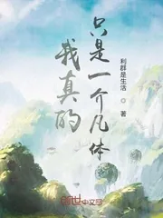 《我真的只是一介凡体》小说封面