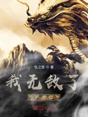 《我无敌了该怎么办》小说封面