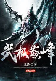 《武极巅峰》小说封面
