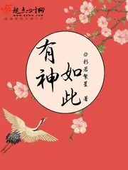 《有神如此》小说封面
