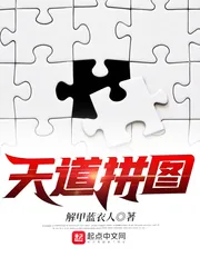 《天道拼图》小说封面