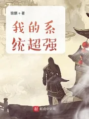 《我的系统超强》小说封面