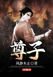 《尊子》小说封面