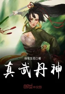 《真武丹神》小说封面