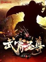《武宵圣尊》小说封面