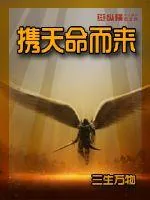 《携天命而来》小说封面