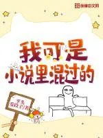 《我可是小说里混过的》小说封面
