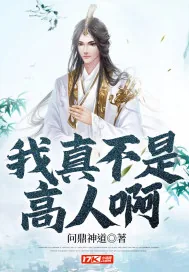 《我真不是高人啊》小说封面