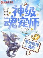 《神级魂宠师》小说封面