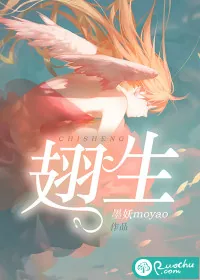 《翅生》小说封面