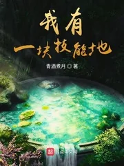 《我有一块技能地》小说封面