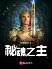 《秘魂之主》小说封面