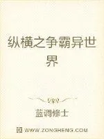 《纵横之争霸异世界》小说封面