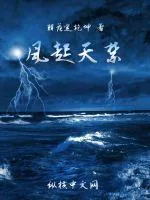 《风起天禁》小说封面