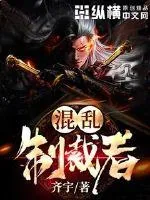 《混乱制裁者》小说封面
