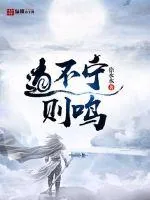 《道不宁则鸣》小说封面