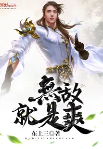 《无敌就是爽》小说封面