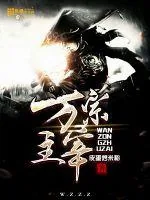 《万宗主宰》小说封面