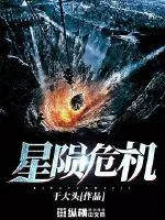 《星陨危机》小说封面