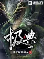《极典》小说封面