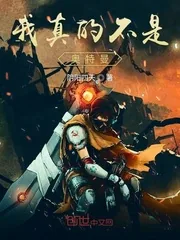 《我真的不是奥特曼》小说封面