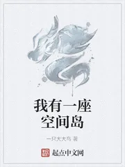 《我有一座空间岛》小说封面